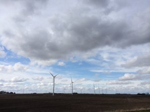 windmills-001